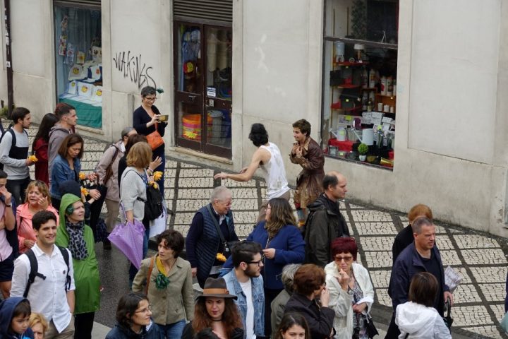 DSC04526 Custom Custom